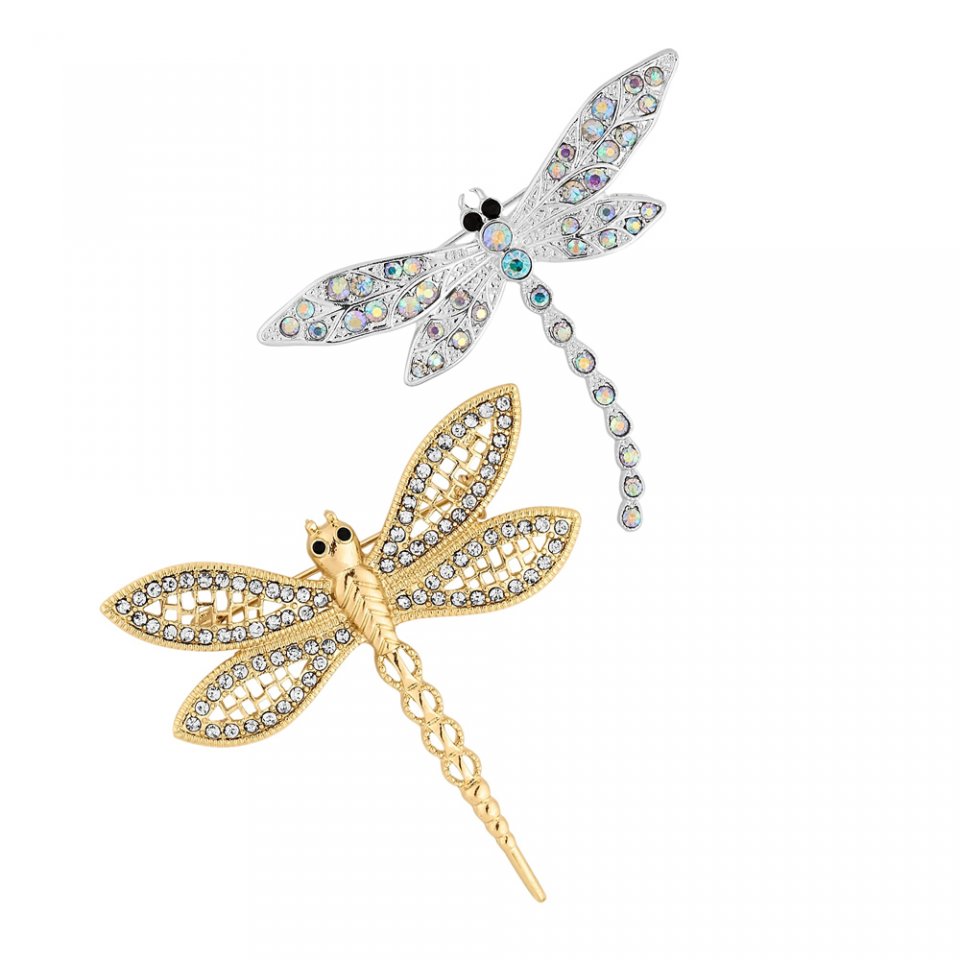 Background Cleaning Brooch